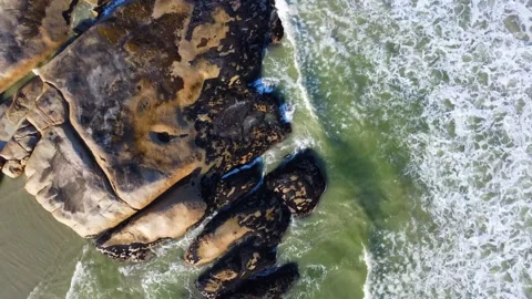 PaterN01 스톡 동영상 171472760