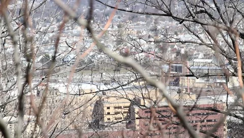Paterson NJ - Traffic Trees Stock Footage 2311258