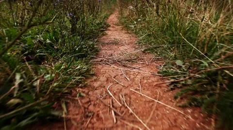 Path-2 Stock-Footage 8607178