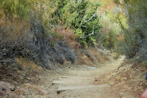 The Path 2 Stock Photos