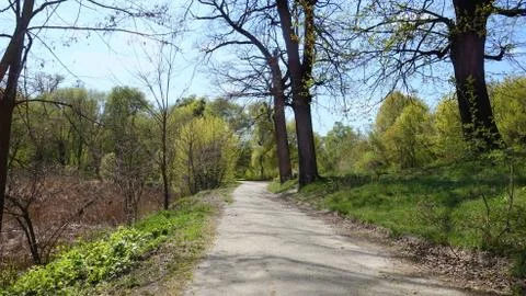A path in an abandoned corner of an old park in the spring 库存照片