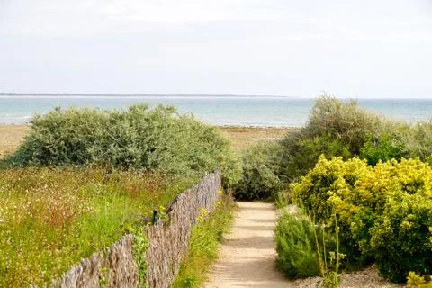 Path access in sand dune beach in Vendee on Saint Vincent sur Jard in France Stock Photos