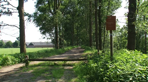 Path across dike under row of trees, Dutch Grebbe Line (Grebbelinie) area Stock Footage 39501310