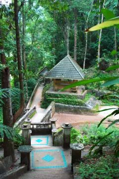 Path across the jungle Stock Photos