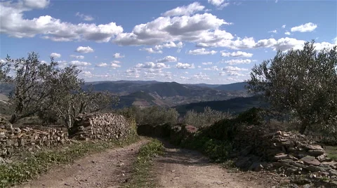 Path across a natural reserve "Douro" OPORTO PORTUGAL Stock Footage 62475172