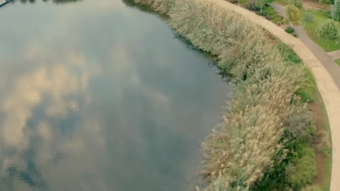 A path adjacent to the lake in the park Stock-Footage 221413197