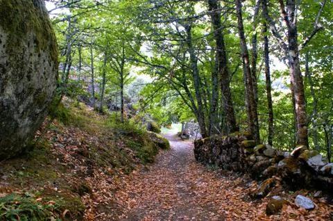 Path to Aguiar castle in Vila Pouca de Aguiar Фото