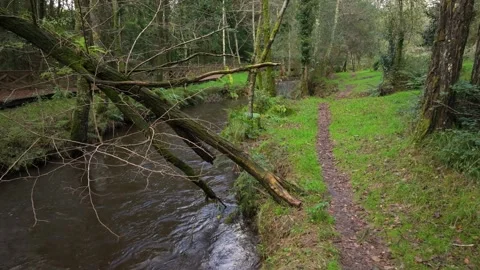 Path Along The Anllons River Through The Woods Stockbeeldmateriaal 292652616