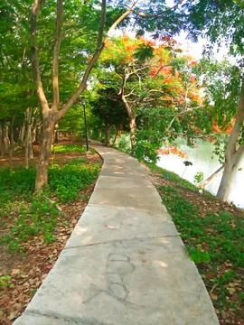 The path along the edge of the beautiful artificial lake is decorated with .. Stock Photos
