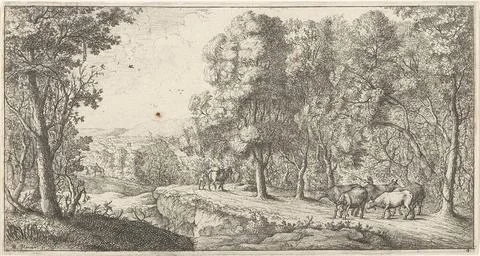 Path along the forest. A landscape with five cows on a path along a forest... Stock Photos