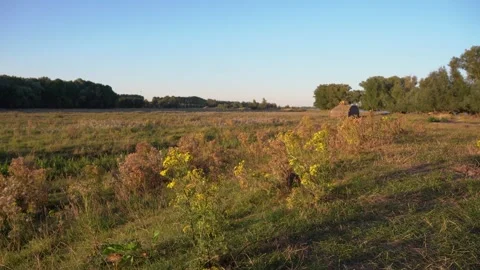 Path Along a Meadow in the Golden Hour Light Stock Footage 339623729