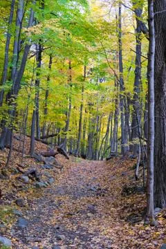 Path along the mountain Stock Photos