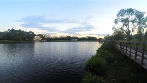 Path along the pond timelapse Stock Footage 82040995