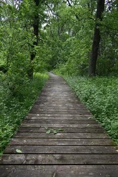 A path along the river Stock Photos
