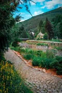 A path along the river 스톡 사진