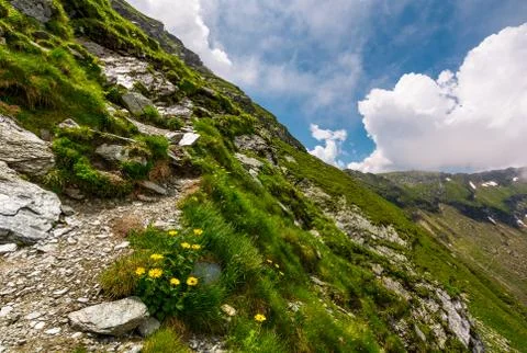Path along the steep slope Foto stock