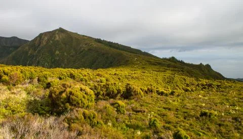 Path Along a Volcanic Hill Stock Photos