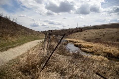 Path Alongside Stream in Park Stock Photos