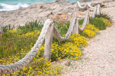 Path alonside Beach in Formentera Stock Photos