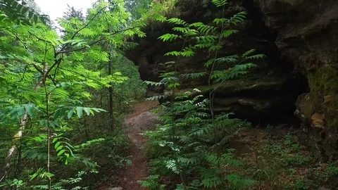 Path among old stones and wild woods Stock-Footage 74322685