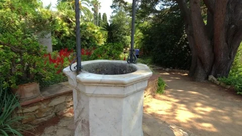 Path among palms and other trees in Jardí Botànic Marimurtra in Blanes Stock Footage 249834555