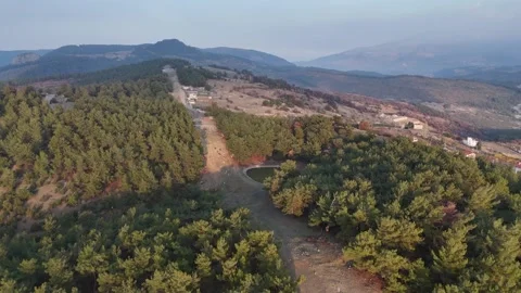 Path Among the Trees Aerial Shot Stock Footage 325656859