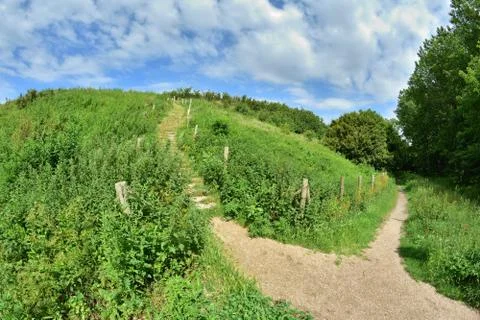 A path among trees on the edge of a slope on a hot summer day. Stock Photos