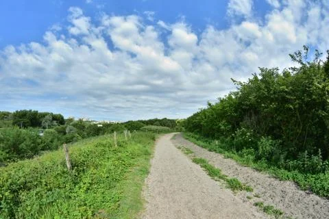 A path among trees on the edge of a slope on a hot summer day. Stock Photos