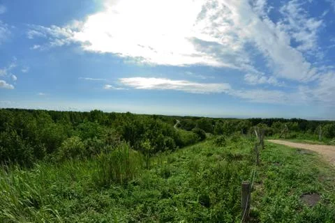 A path among trees on the edge of a slope on a hot summer day. Stock Photos