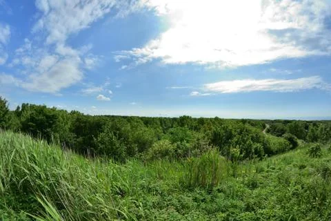 A path among trees on the edge of a slope on a hot summer day. Stock Photos