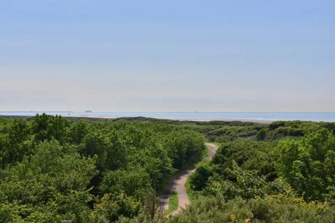 A path among trees on the edge of a slope on a hot summer day. Stock Photos