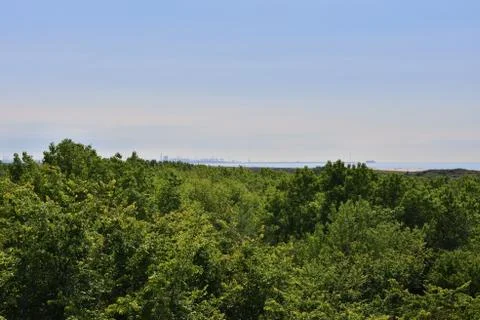 A path among trees on the edge of a slope on a hot summer day. Stock Photos
