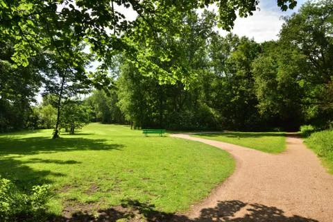A path among trees on the edge of a slope on a hot summer day. Stock Photos