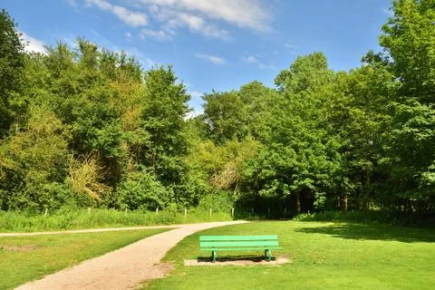 A path among trees on the edge of a slope on a hot summer day. Stock Photos