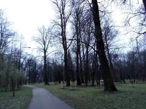 Path among the trees Foto stock
