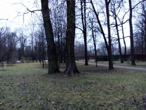Path among the trees Foto stock