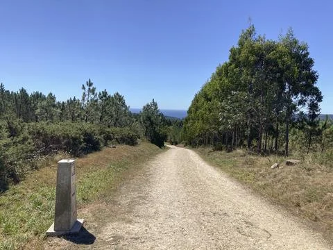 Path among the trees where the pilgrims walk in the Camino de Santiago, Spain. 写真素材