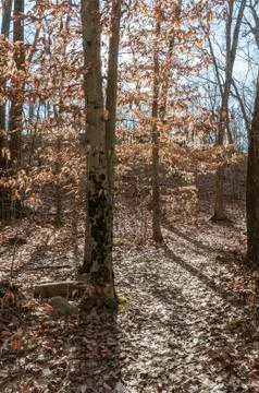 Path to Anawan Rock Stock Photos