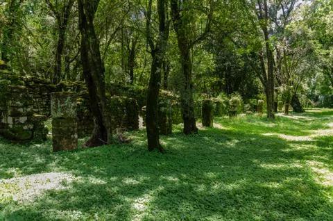 Path of the ancient contructions full of grass and lush foliage covering all  Stock Photos