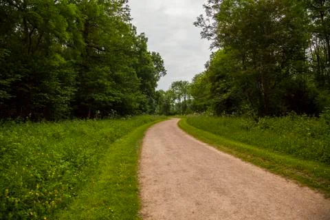 Path and bushes Stock Photos