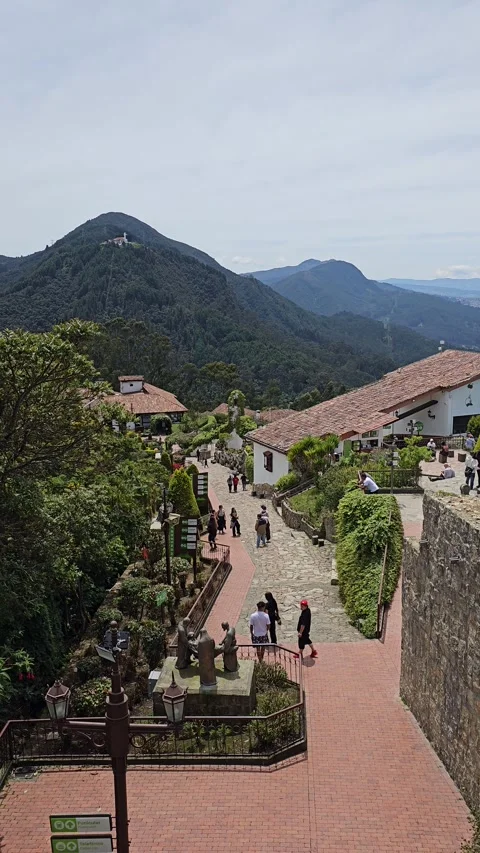 Of Path and Forested Mountain Peak, Monserrate, Bogotá, Colombia – Vertical 8K Stock Footage 331528765