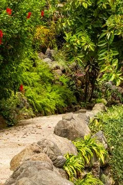 Path and leaves Stock Photos