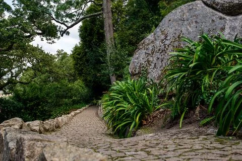 Path and leaves Stock Photos