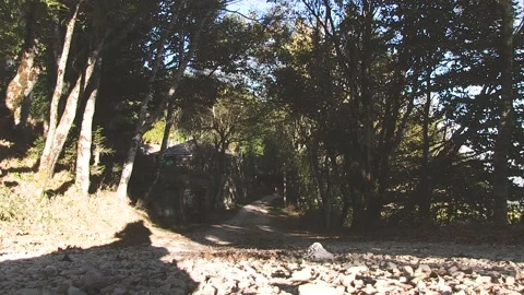 A PATH AND A OLD HOUSE BETWEEN TREES Stock Footage 96383676