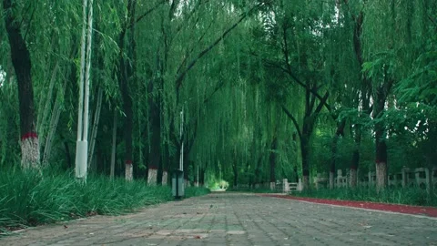 A path and running track in the park Stock Footage 234053456