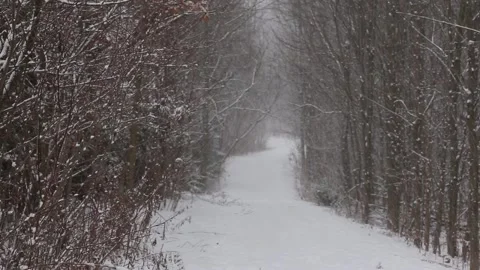Path and a Snow Storm Stock Footage 145490630