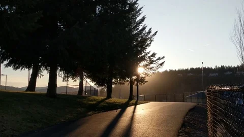 Path and tree at Sunset Video stock 125094651