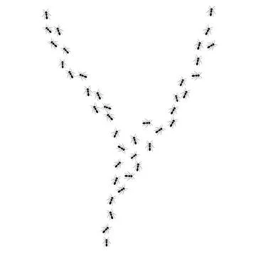 A path of ants running, two ways. View from above. Vector illustration in flat Stock Illustration