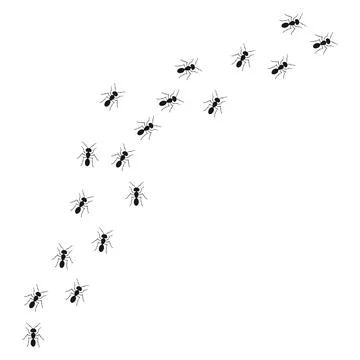 A path of ants running up. View from above. Vector illustration in flat cartoon Stock Illustration