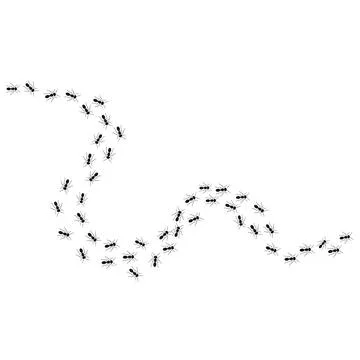 A path of ants running up. View from above. Vector illustration in flat cartoon Stock Illustration